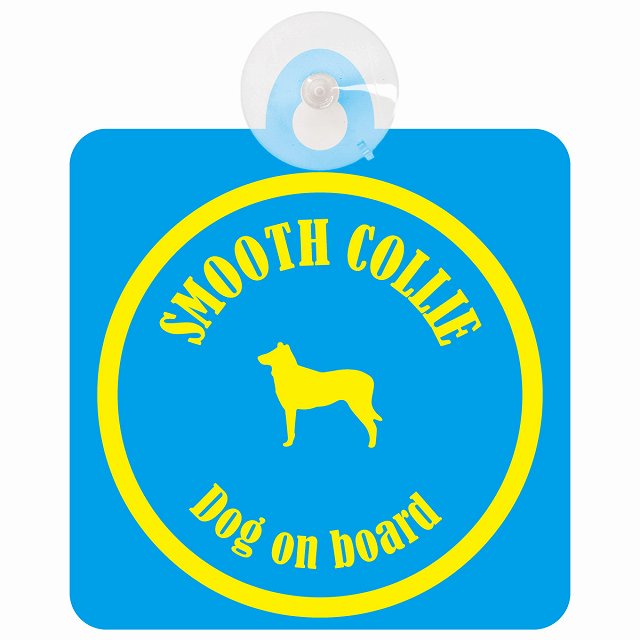 Smooth Collie スムースコリー ブルー＆イエロー DOG IN CAR カラフル 車用吸盤付サイン 12.4x14.6cm