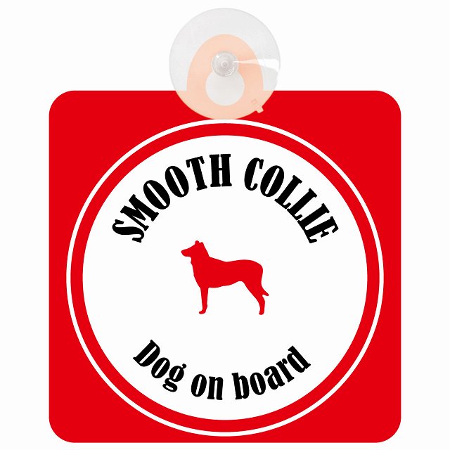 Smooth Collie スムースコリー ホワイト＆レッド DOG IN CAR カラフル 車用吸盤付サイン 12.4x14.6cm