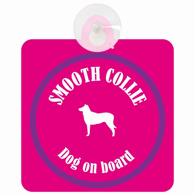 Smooth Collie スムースコリー ピンク＆パープル DOG IN CAR カラフル 車用吸盤付サイン 12.4x14.6cm