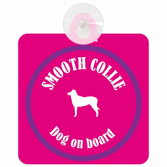 Smooth Collie スムースコリー ピンク＆パープル DOG IN CAR カラフル 車用吸盤付サイン 12.4x14.6cm