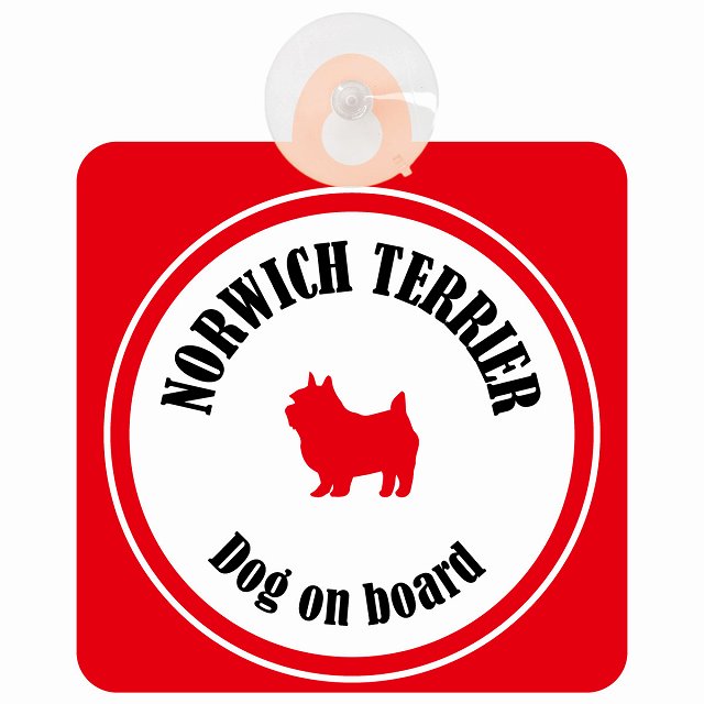 Norwich Terrier ノーリッチテリア ホワイト＆レッド DOG IN CAR カラフル 車用吸盤付サイン 12.4x14.6cm