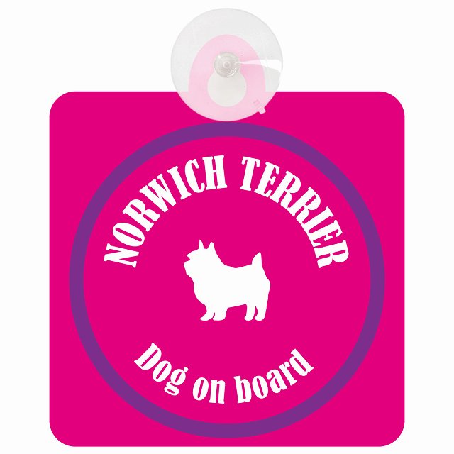 Norwich Terrier ノーリッチテリア ピンク＆パープル DOG IN CAR カラフル 車用吸盤付サイン 12.4x14.6cm