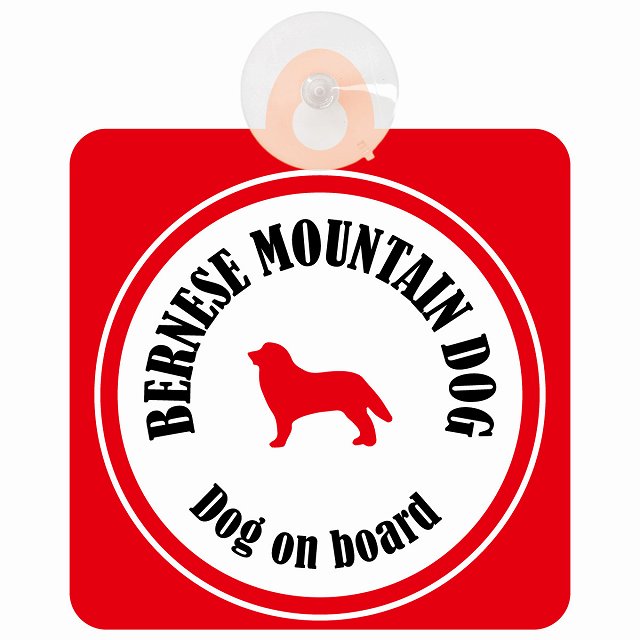 Bernese Mountain Dog バーニーズマウンテンドッグ ホワイト＆レッド DOG IN CAR カラフル 車用吸盤付サイン 12.4x14.6cm