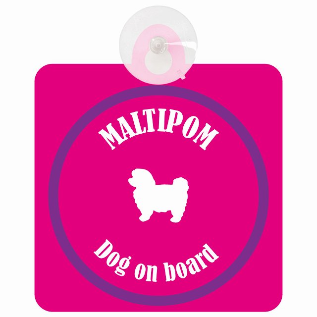 Maltipom ポメマル ピンク＆パープル DOG IN CAR カラフル 車用吸盤付サイン 12.4x14.6cm