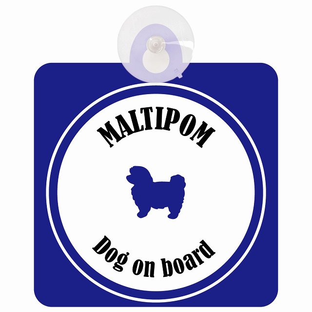 Maltipom ポメマル ホワイト＆ネイビー DOG IN CAR カラフル 車用吸盤付サイン 12.4x14.6cm