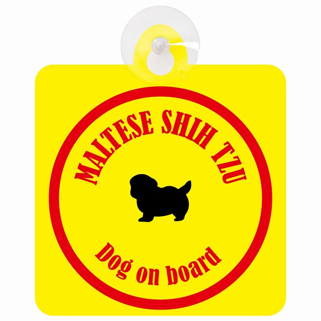 Maltese Shih Tzu マルシーズー イエロー＆レッド DOG IN CAR カラフル 車用吸盤付サイン 12.4x14.6cm