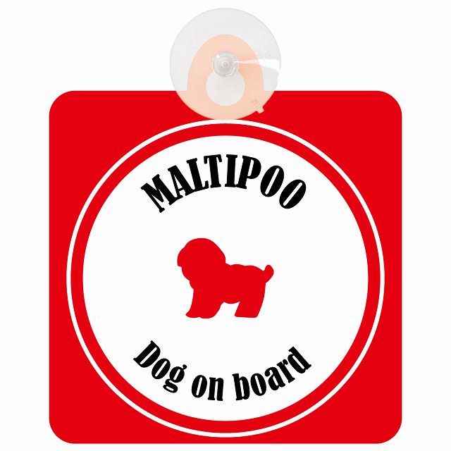 Maltipoo マルプー ホワイト＆レッド DOG IN CAR カラフル 車用吸盤付サイン 12.4x14.6cm