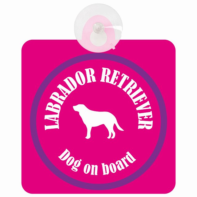 Labrador Retriever ラブラドールレトリバー ピンク＆パープル DOG IN CAR カラフル 車用吸盤付サイン 12.4x14.6cm