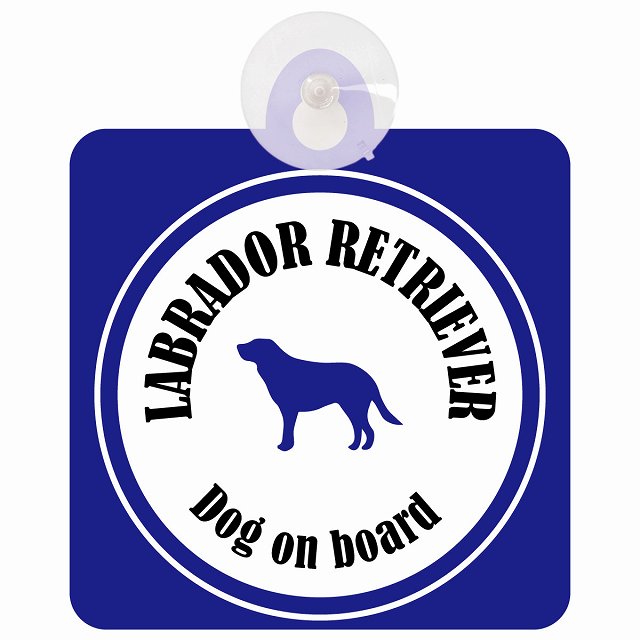 Labrador Retriever ラブラドールレトリバー ホワイト＆ネイビー DOG IN CAR カラフル 車用吸盤付サイン 12.4x14.6cm