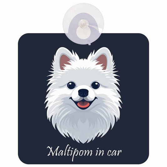 Maltipom ポメマル Aタイプ イラスト付 DOG IN CAR 車用吸盤付サイン 12.4x14.6cm