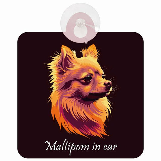 Maltipom ポメマル Bタイプ イラスト付 DOG IN CAR 車用吸盤付サイン 12.4x14.6cm