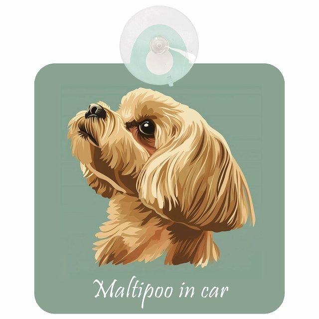 Maltipoo マルプー Aタイプ イラスト付 DOG IN CAR 車用吸盤付サイン 12.4x14.6cm