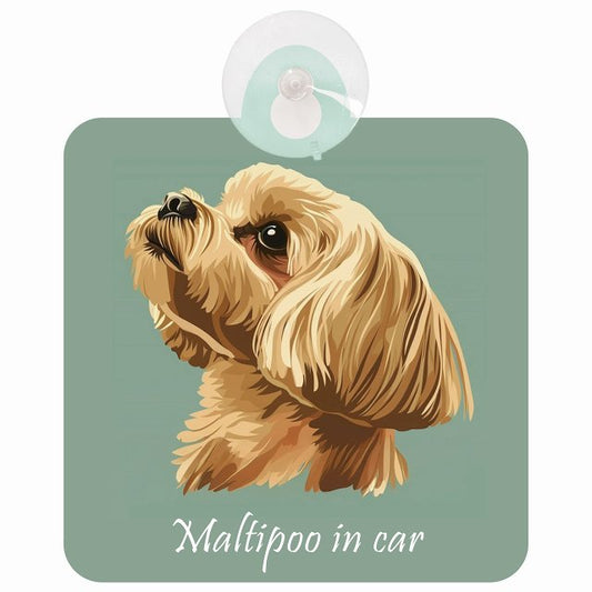 Maltipoo マルプー Aタイプ イラスト付 DOG IN CAR 車用吸盤付サイン 12.4x14.6cm