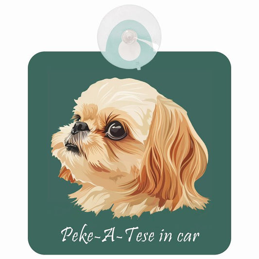 Peke-A-Tese マルペキ Bタイプ イラスト付 DOG IN CAR 車用吸盤付サイン 12.4x14.6cm