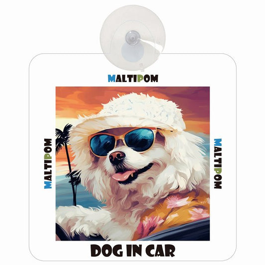 Maltipom ポメマル DOG IN CAR 海 麦わら帽子 サングラス 車用吸盤付サイン 12.4x14.6cm