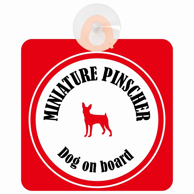 Miniature Pinscher ミニチュアピンシャー ホワイト&レッド DOG IN CAR カラフル 車用吸盤付サイン 12.4x14.6cm