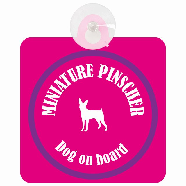 Miniature Pinscher ミニチュアピンシャー ピンク&パープル DOG IN CAR カラフル 車用吸盤付サイン 12.4x14.6cm