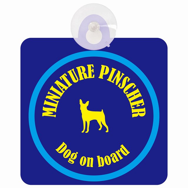 Miniature Pinscher ミニチュアピンシャー ネイビー&ブルー DOG IN CAR カラフル 車用吸盤付サイン 12.4x14.6cm