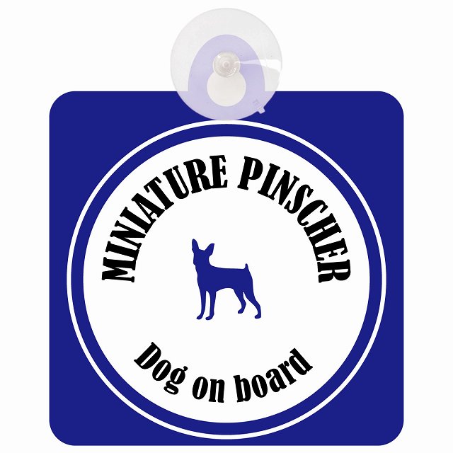 Miniature Pinscher ミニチュアピンシャー ホワイト＆ネイビー DOG IN CAR カラフル 車用吸盤付サイン 12.4x14.6cm