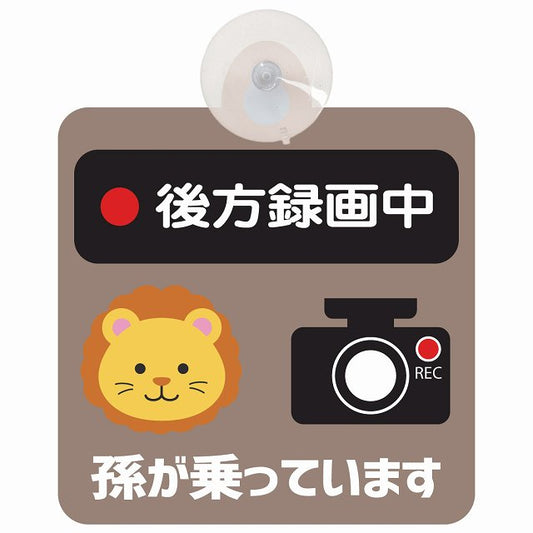 孫が乗っています 後方録画中 らいおん グレーベージュ 車用吸盤付サイン 12.4x14.6cm 表示プレート