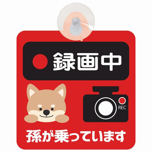 孫が乗っています 録画中 いぬ レッド 車用吸盤付サイン 12.4x14.6cm 表示プレート