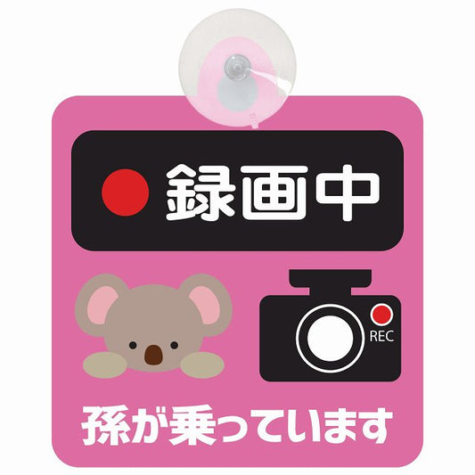 孫が乗っています 録画中 こあら ピンク 車用吸盤付サイン 12.4x14.6cm 表示プレート