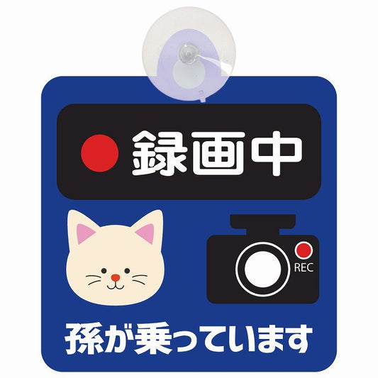 孫が乗っています 録画中 ねこ ネイビー 車用吸盤付サイン 12.4x14.6cm 表示プレート