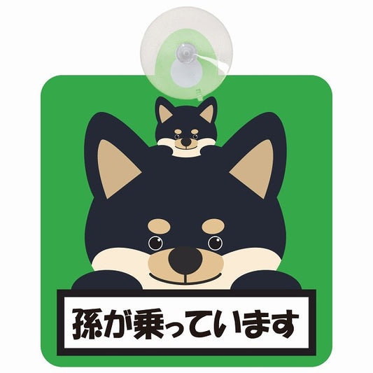 孫が乗っています 祖父母と孫 黒柴 グリーン 車用吸盤付サイン 12.4x14.6cm