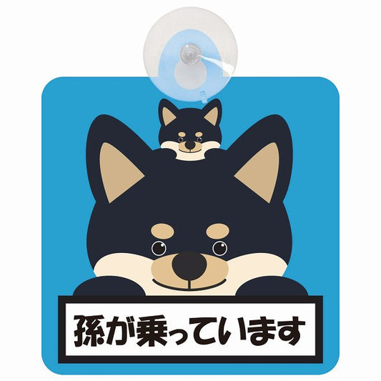 孫が乗っています 祖父母と孫 黒柴 ブルー 車用吸盤付サイン 12.4x14.6cm