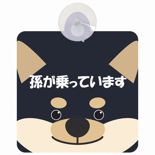 孫が乗っています おでこ 黒柴 車用吸盤付サイン 12.4x14.6cm