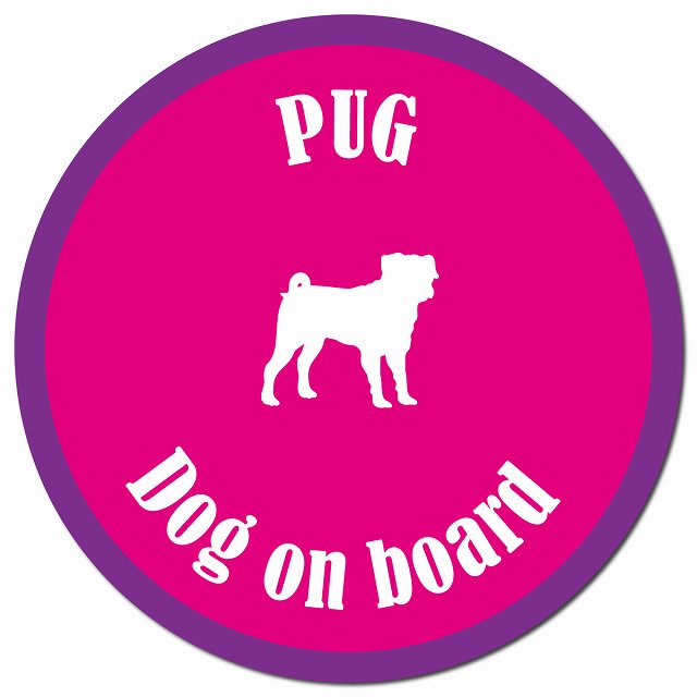 カラフル Dog on board パグ ピンク＆パープル マグネット 車用 直径13cm 丸型 カーマグネット