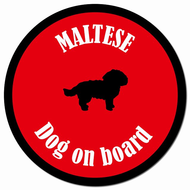 カラフル Dog on board マルチーズ レッド＆ブラック マグネット 車用 直径13cm 丸型 カーマグネット