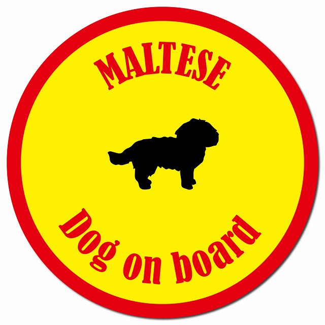 カラフル Dog on board マルチーズ イエロー＆レッド マグネット 車用 直径13cm 丸型 カーマグネット