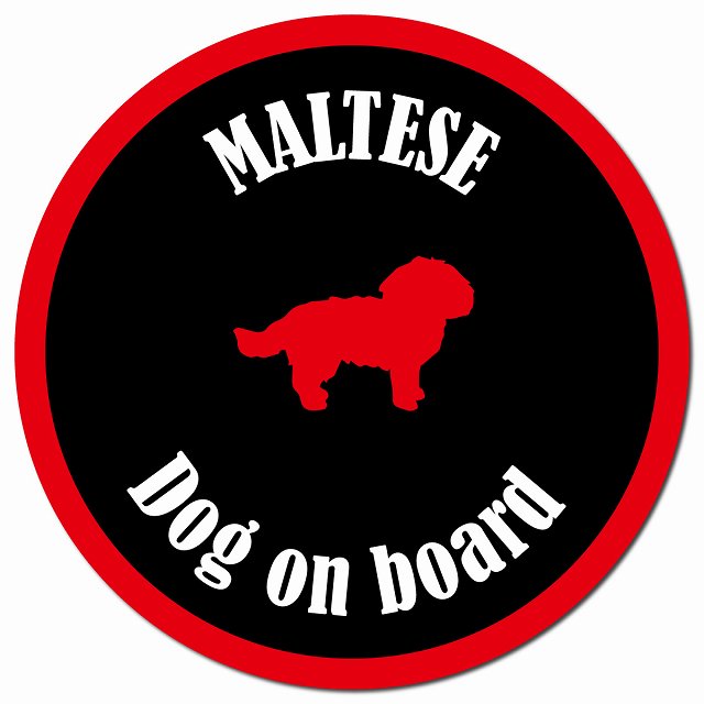 カラフル Dog on board マルチーズ ブラック＆レッド マグネット 車用 直径13cm 丸型 カーマグネット