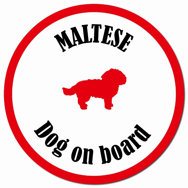 カラフル Dog on board マルチーズ ホワイト＆レッド マグネット 車用 直径13cm 丸型 カーマグネット