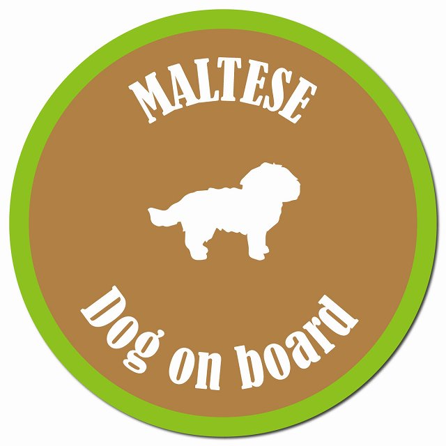 カラフル Dog on board マルチーズ ブラウン＆グリーン マグネット 車用 直径13cm 丸型 カーマグネット