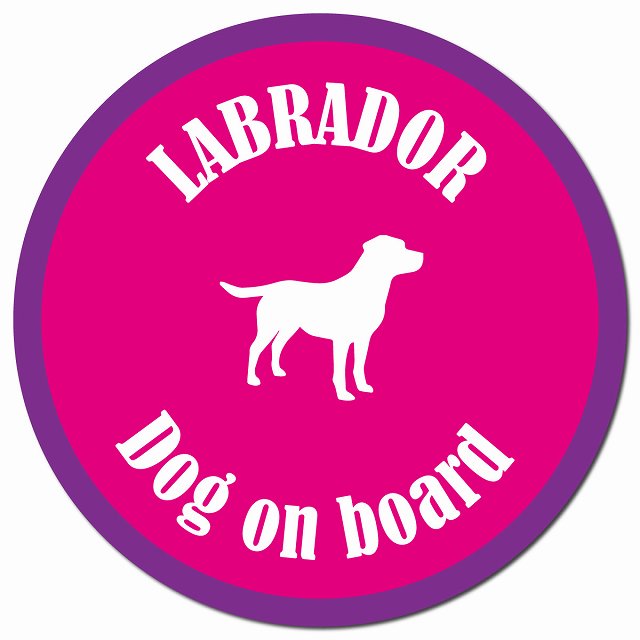 カラフル Dog on board ラブラドール ピンク＆パープル マグネット 車用 直径13cm 丸型 カーマグネット