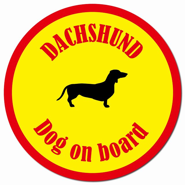 カラフル Dog on board ダックスフント イエロー＆レッド マグネット 車用 直径13cm 丸型 カーマグネット