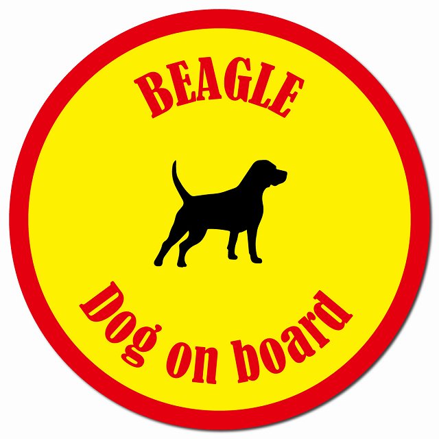 カラフル Dog on board ビーグル イエロー＆レッド マグネット 車用 直径13cm 丸型 カーマグネット