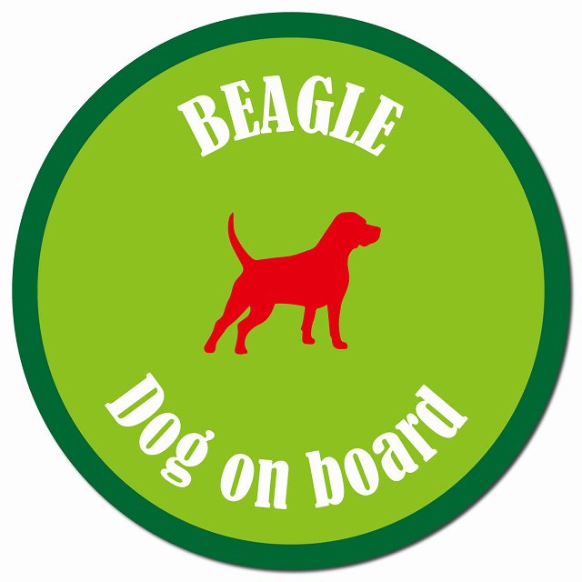 カラフル Dog on board ビーグル ライトグリーン＆グリーン マグネット 車用 直径13cm 丸型 カーマグネット