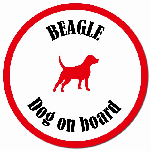 カラフル Dog on board ビーグル ホワイト＆レッド マグネット 車用 直径13cm 丸型 カーマグネット