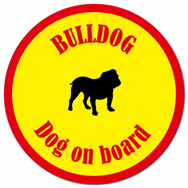 カラフル Dog on board ブルドッグ イエロー＆レッド マグネット 車用 直径13cm 丸型 カーマグネット