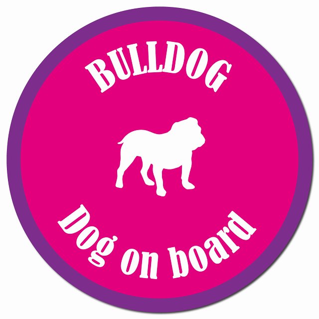 カラフル Dog on board ブルドッグ ピンク＆パープル マグネット 車用 直径13cm 丸型 カーマグネット