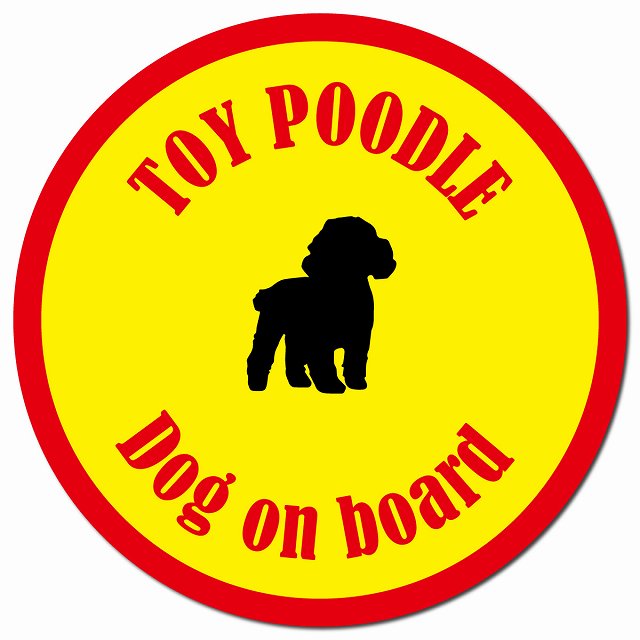 カラフル Dog on board トイプードル イエロー＆レッド マグネット 車用 直径13cm 丸型 カーマグネット