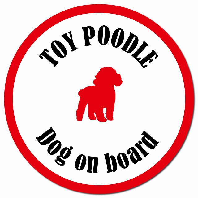 カラフル Dog on board トイプードル ホワイト＆レッド マグネット 車用 直径13cm 丸型 カーマグネット