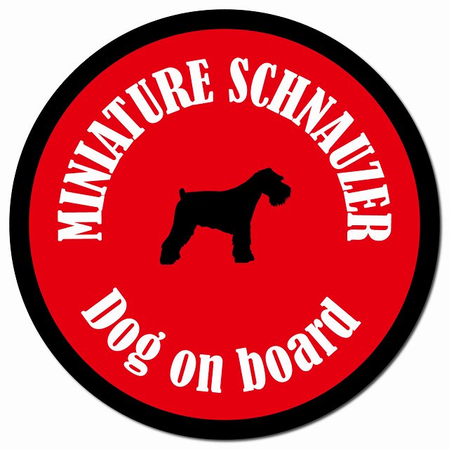 カラフル Dog on board ミニチュアシュナウザー レッド＆ブラック マグネット 車用 直径13cm 丸型 カーマグネット