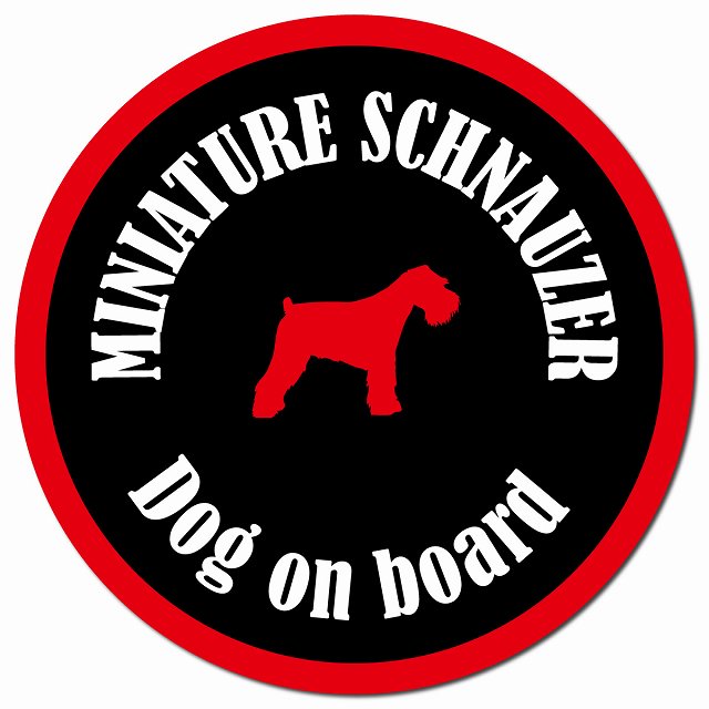 カラフル Dog on board ミニチュアシュナウザー ブラック＆レッド マグネット 車用 直径13cm 丸型 カーマグネット