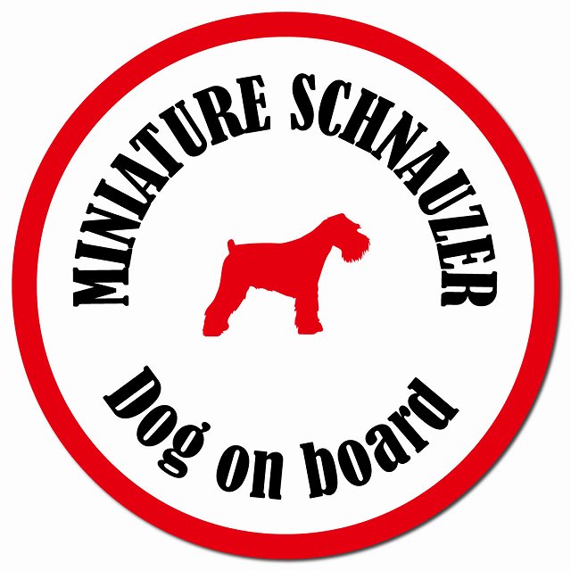 カラフル Dog on board ミニチュアシュナウザー ホワイト＆レッド マグネット 車用 直径13cm 丸型 カーマグネット