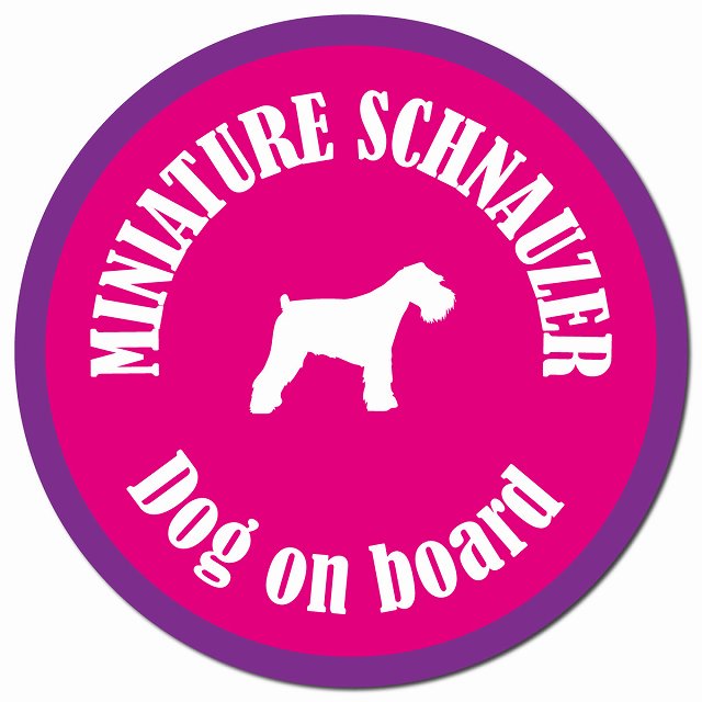 カラフル Dog on board ミニチュアシュナウザー ピンク＆パープル マグネット 車用 直径13cm 丸型 カーマグネット