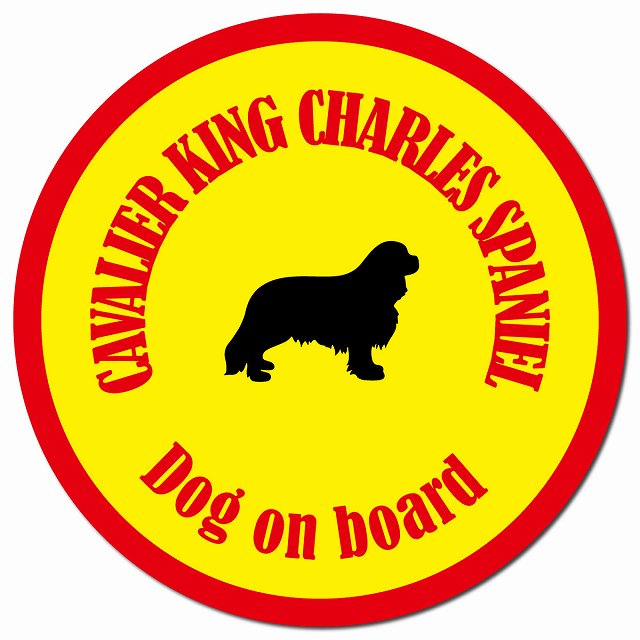 カラフル Dog on board キャバリアキングチャールズスパニエル イエロー＆レッド マグネット 車用 直径13cm 丸型 カーマグネット